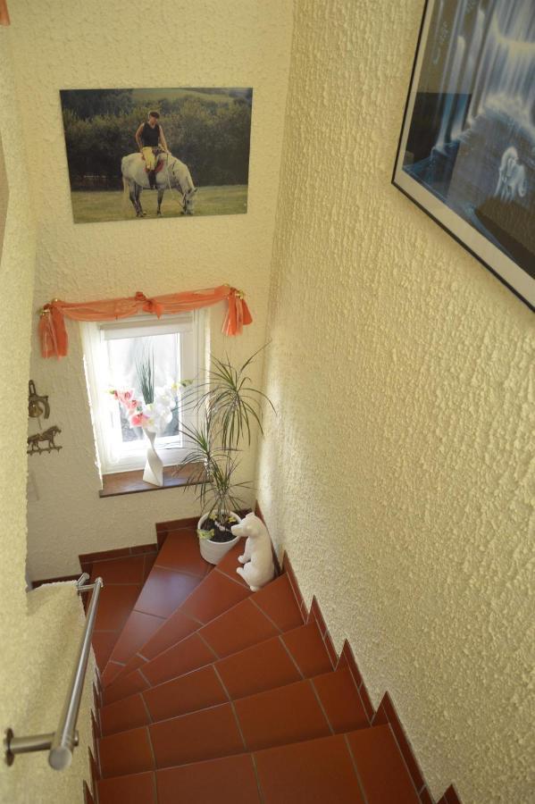 Ferienwohnung Auszeit Waxweiler Εξωτερικό φωτογραφία